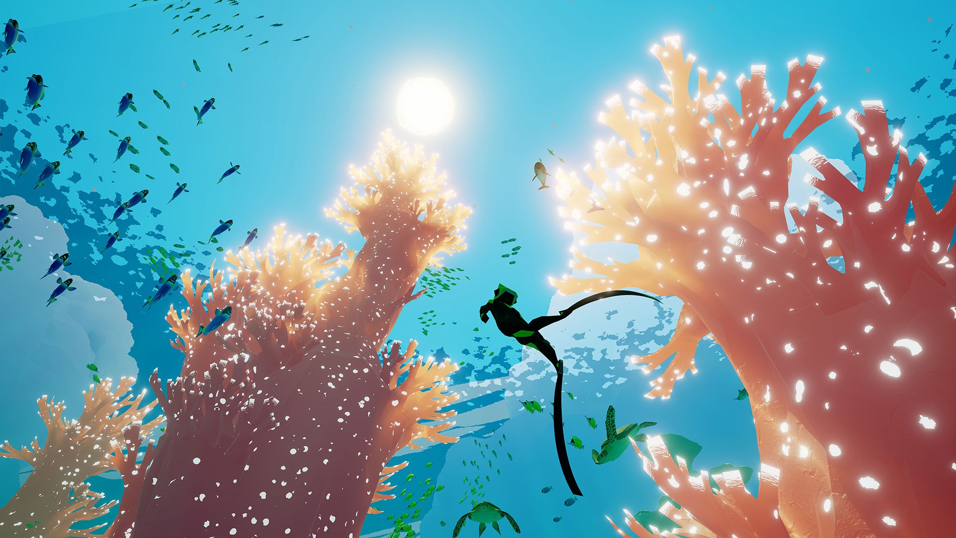 Image result for diving game origin