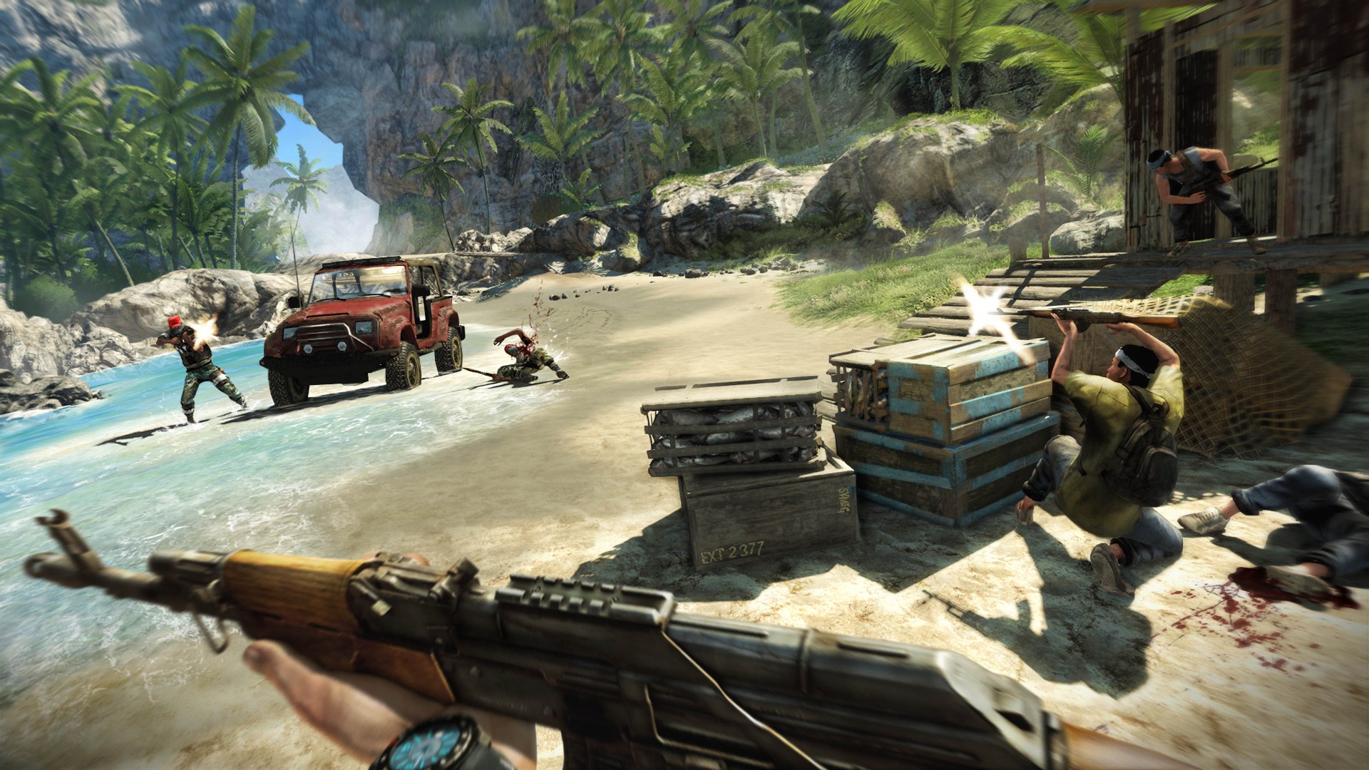 Image result for Far Cry 3